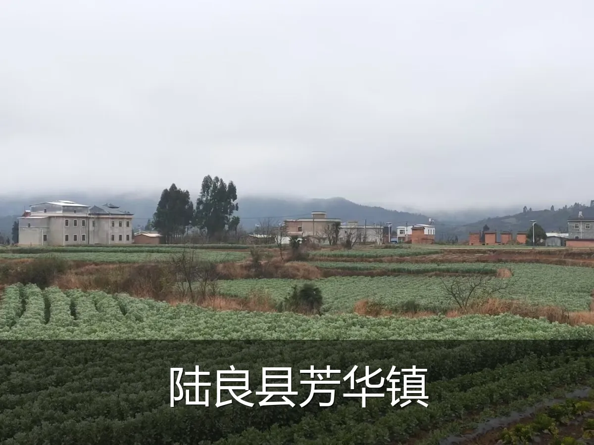 陆良县芳华镇