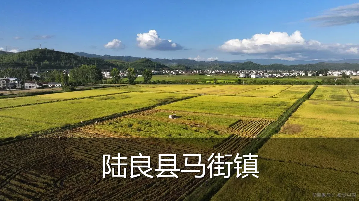 陆良县马街镇